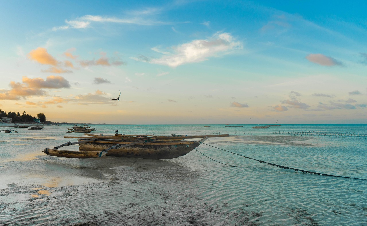 Zanzibar beach Tanzania travel